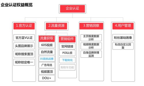 恭喜巨推传媒成为今日头条抖音账号认证官方服务商